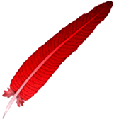 RED_FETH1.GIF (6856 bytes)